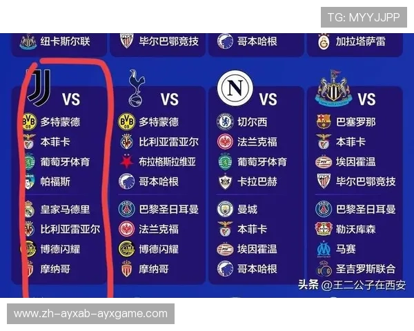 当前意甲联赛总共有多少支球队参赛?