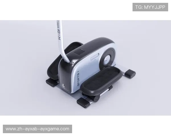 韩国最新健身器材产品及趋势：韩国市场的新兴健身器材及其发展趋势